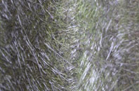 Blindmoor fibreglass roof work